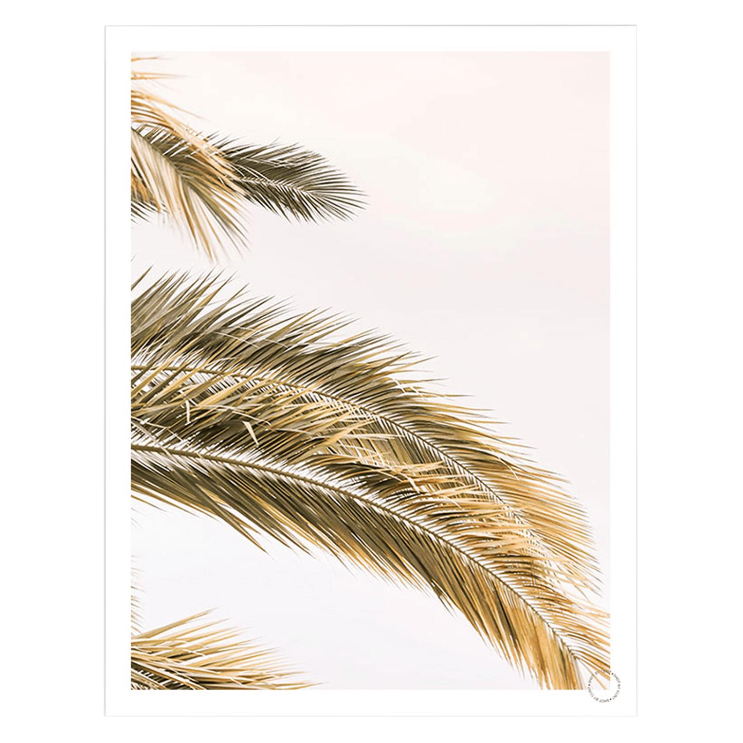 Oasis-Palm, Art Print