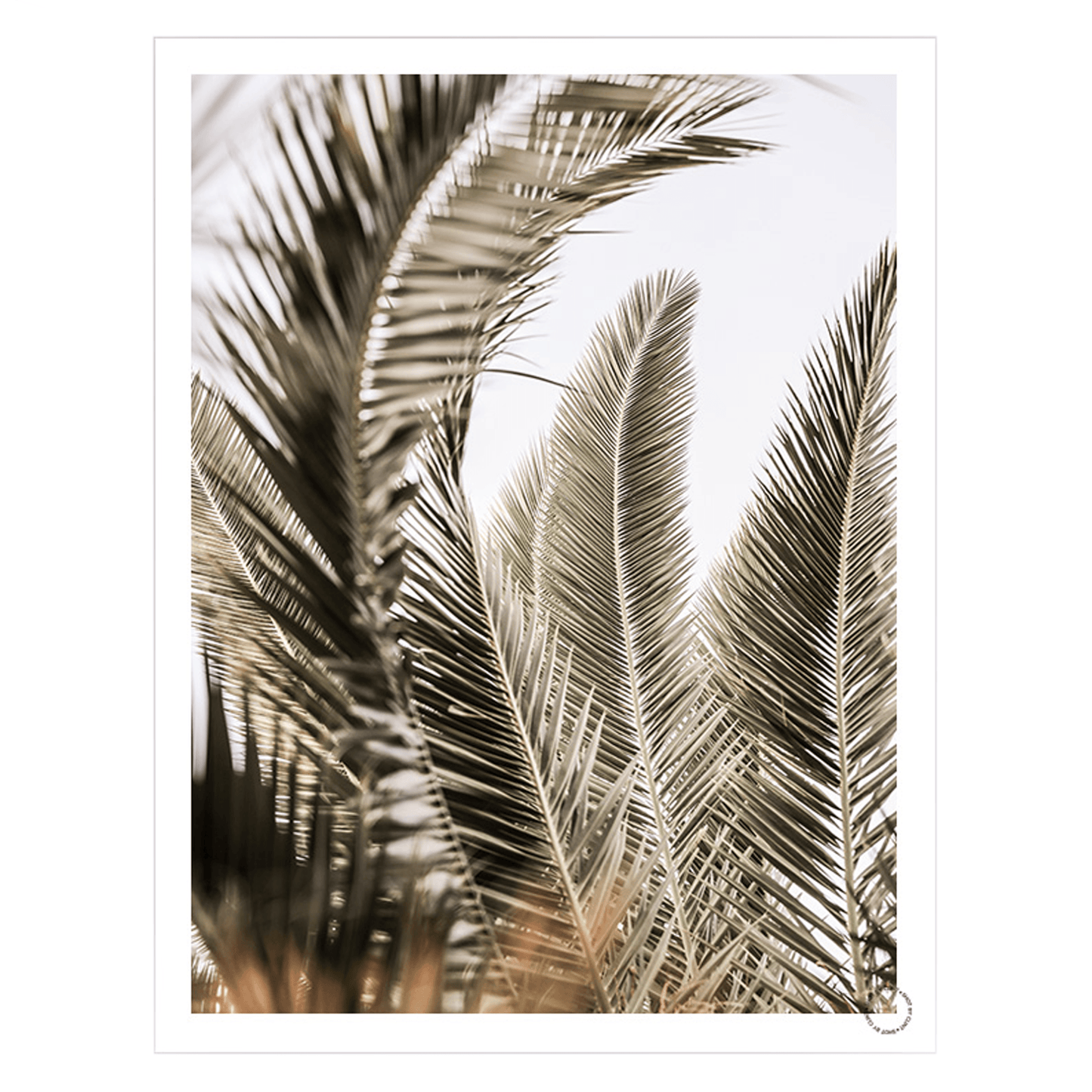 Palm-Love, Art Print