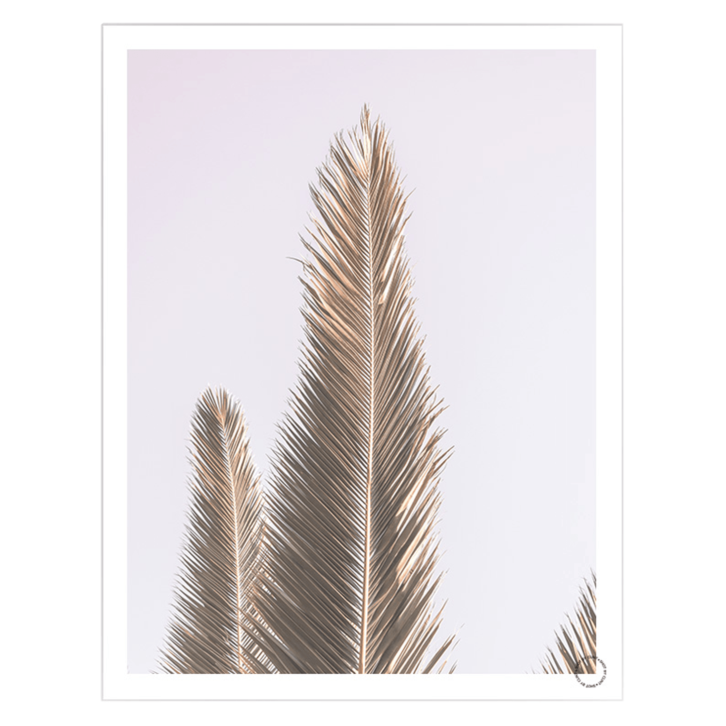 Phoenix-Palm, Art Print