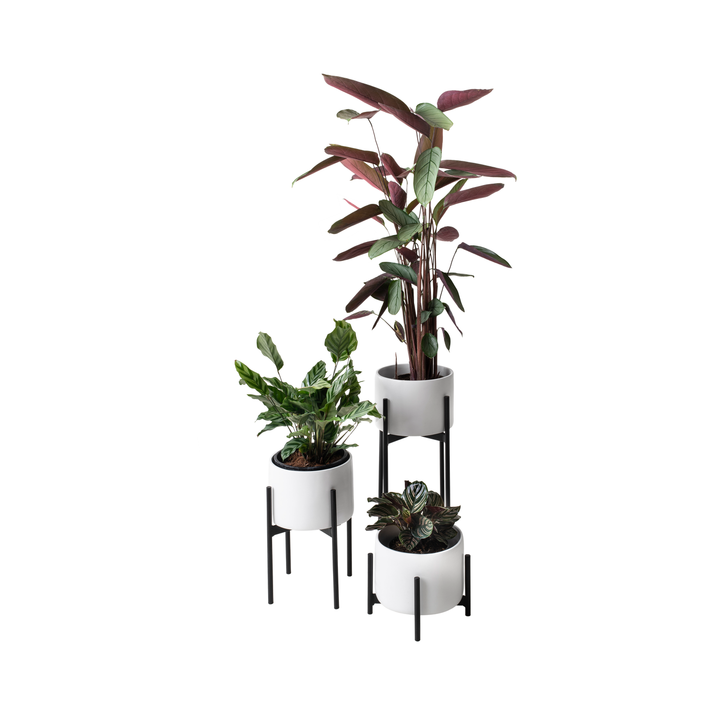 Trio Metal Planter Set