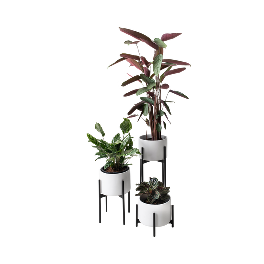 Trio Metal Planter Set
