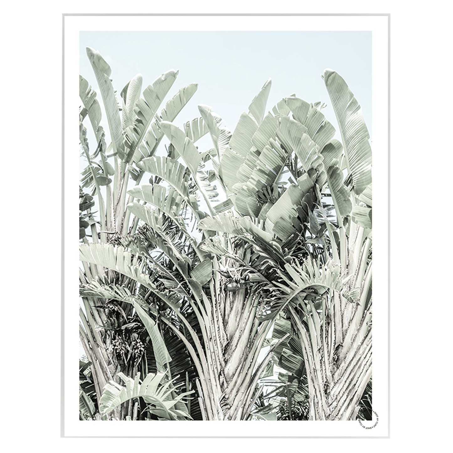 Tropicana, Art Print