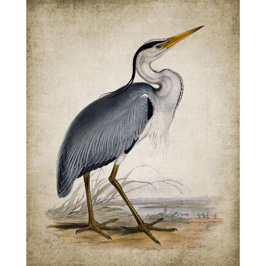 Vintage Heron 1