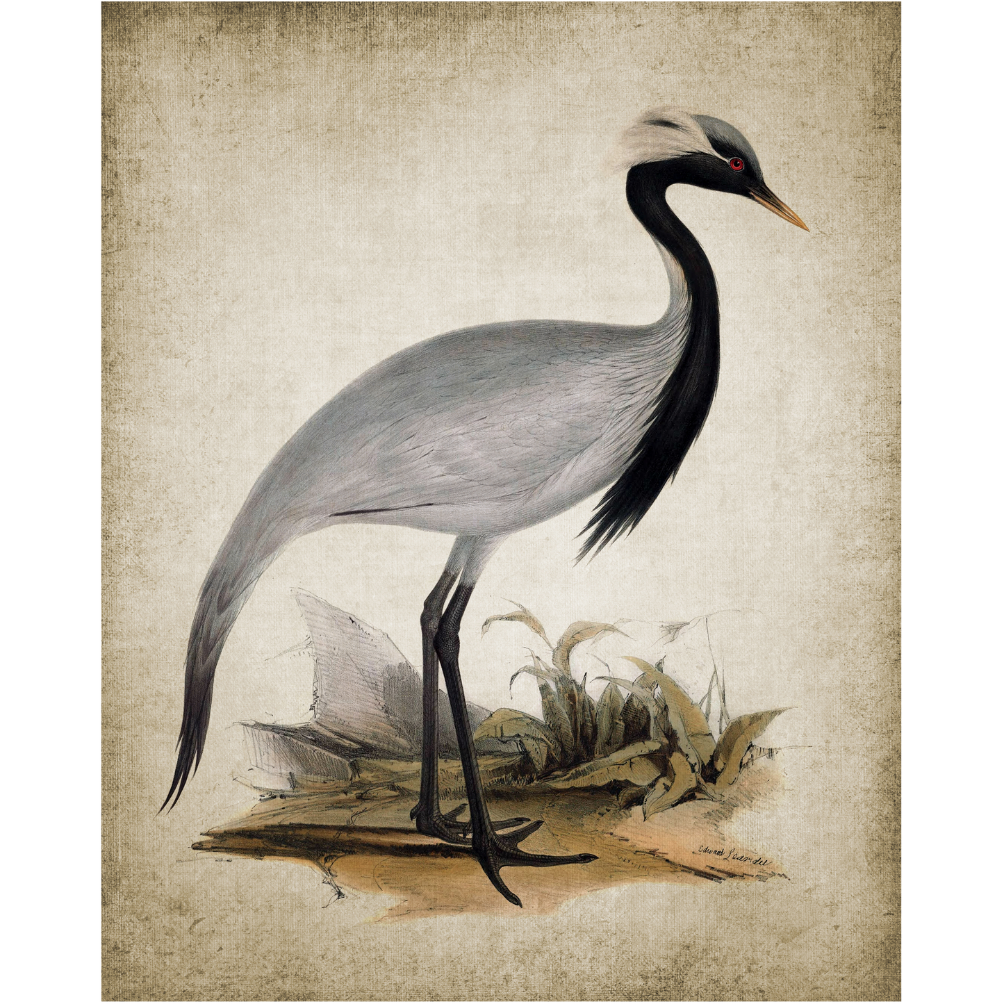 Vintage Heron 3