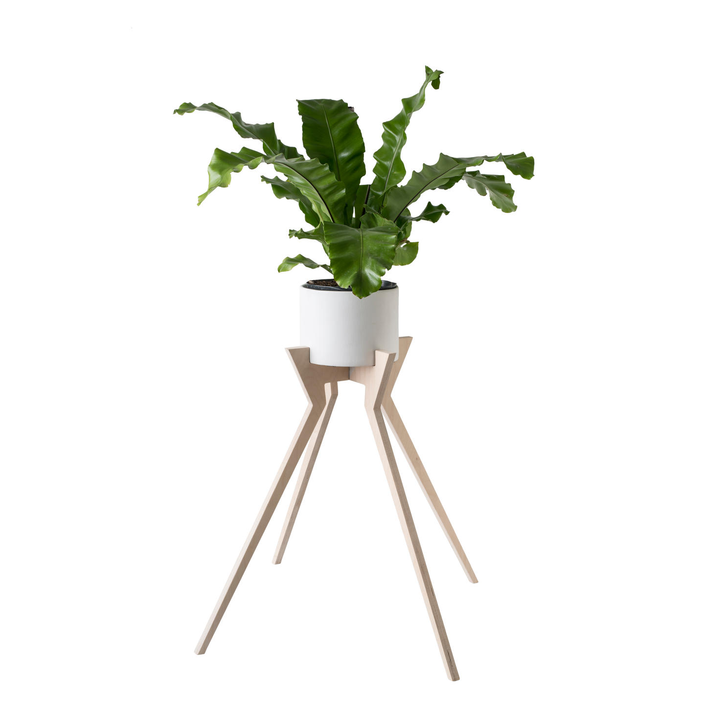 Xeno Pot Plant Holder