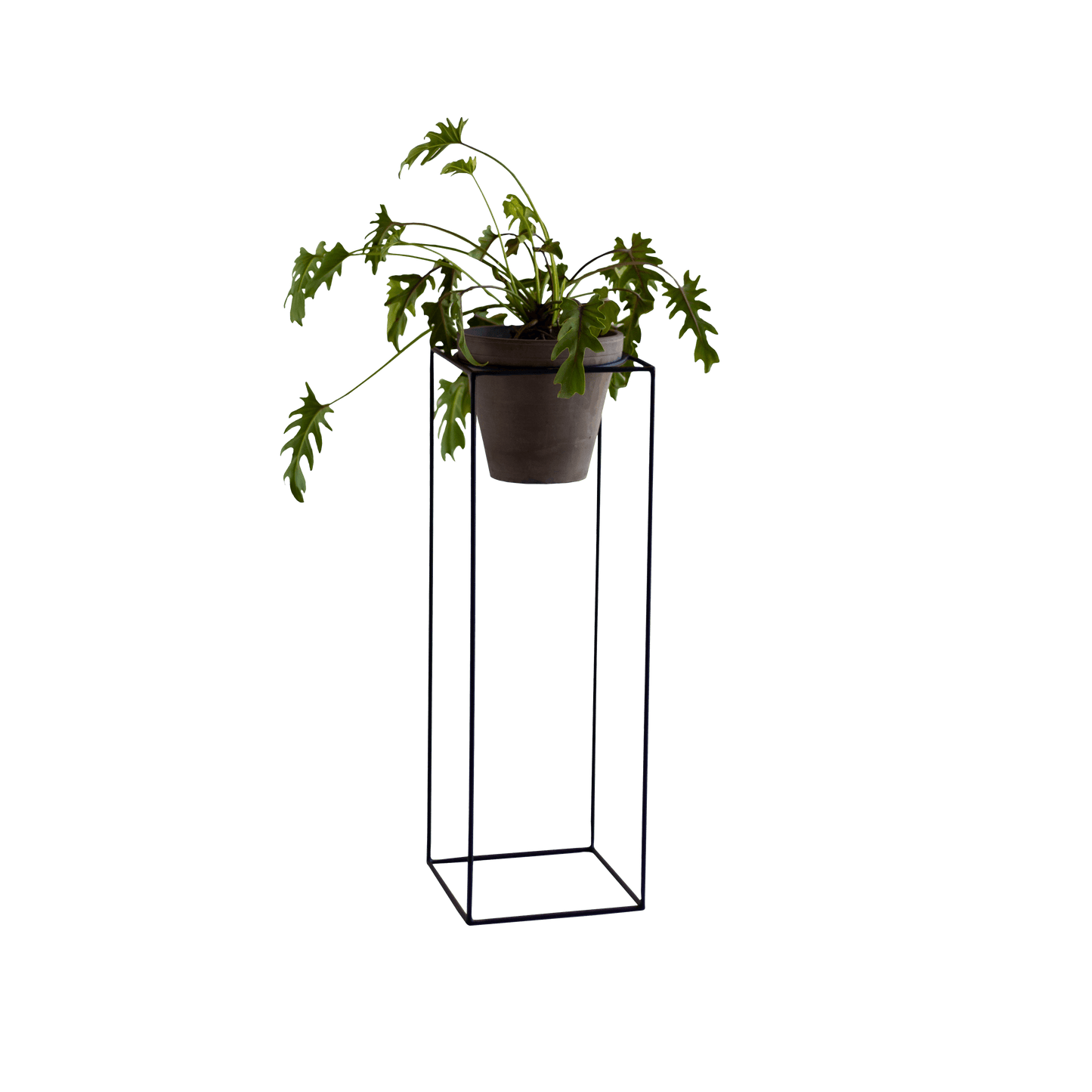 Box Planter Stand