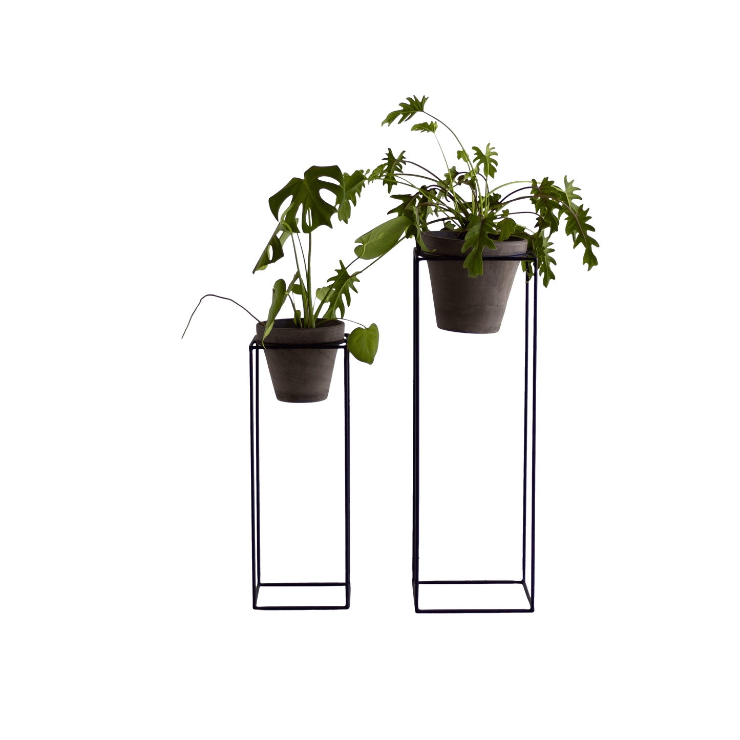 Box Planter Stand