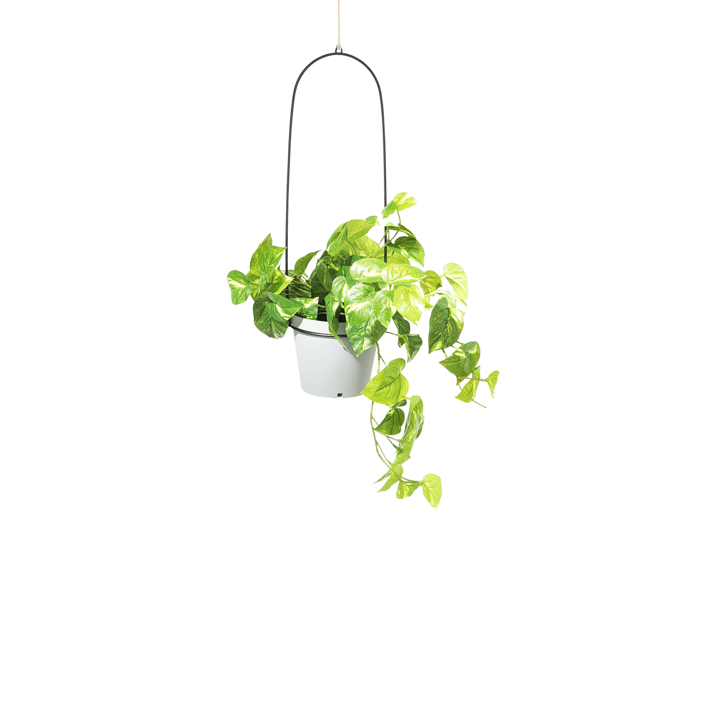 Bucket Hanging Planter