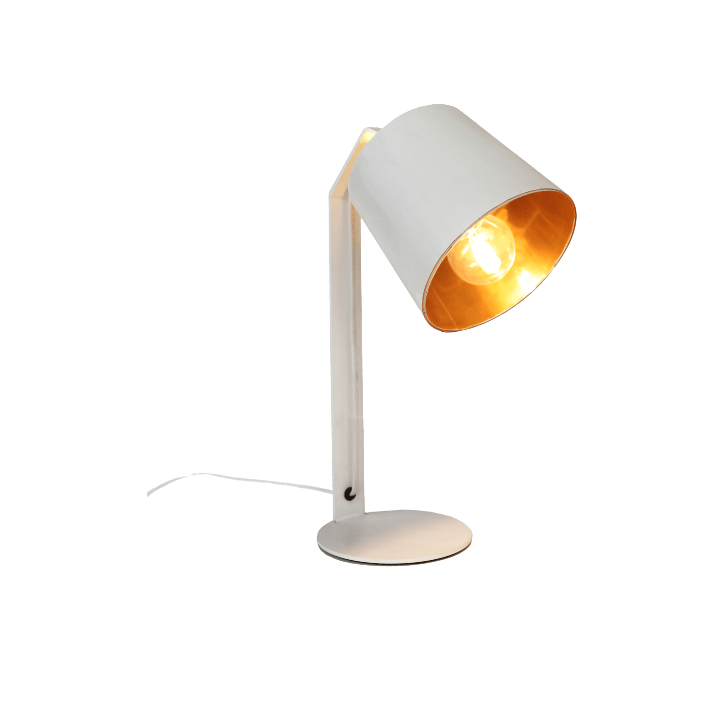 Einstein Desk Lamp