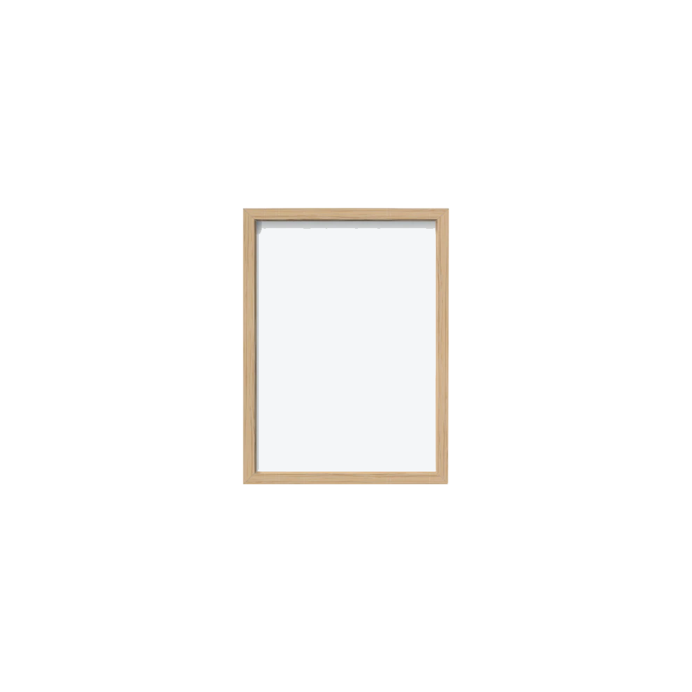 Caladium Baraquinii Troubetzkoy (1854-1896)