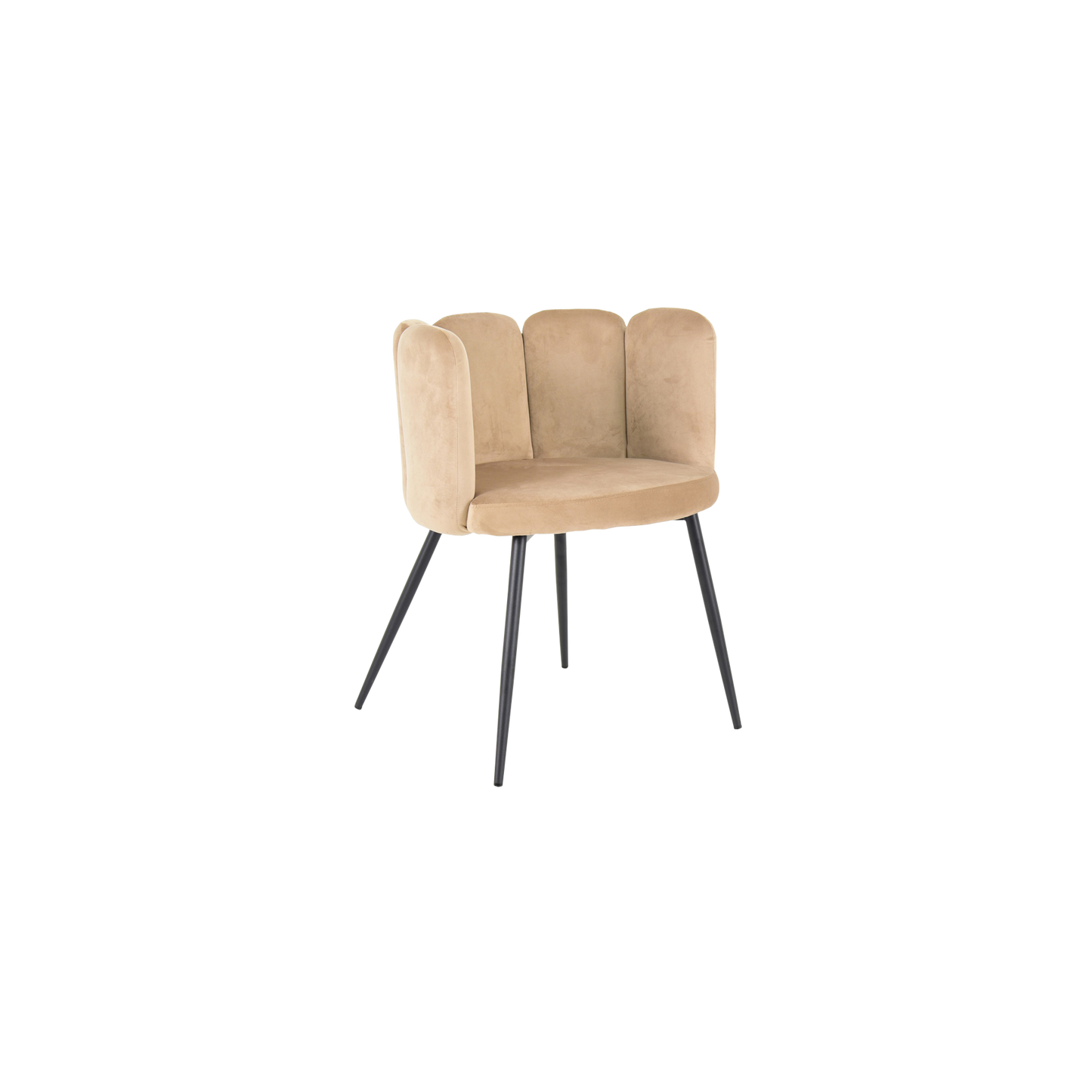 Sea Shell Cafe Chair