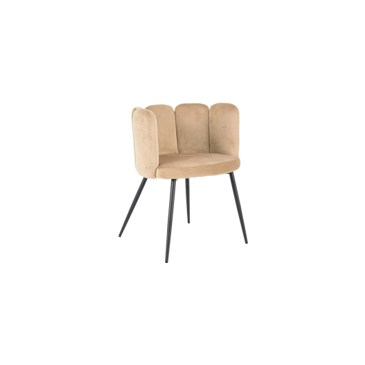 Sea Shell Cafe Chair