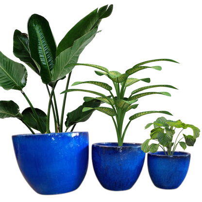 Egg Glazed Planter Sets