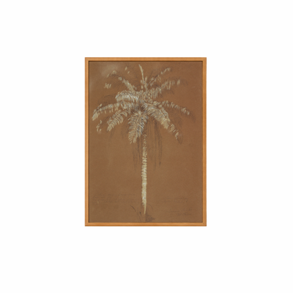 Framed Canvas Print ~ Ginger Palm