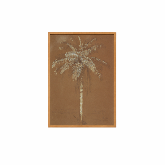 Framed Canvas Print ~ Ginger Palm
