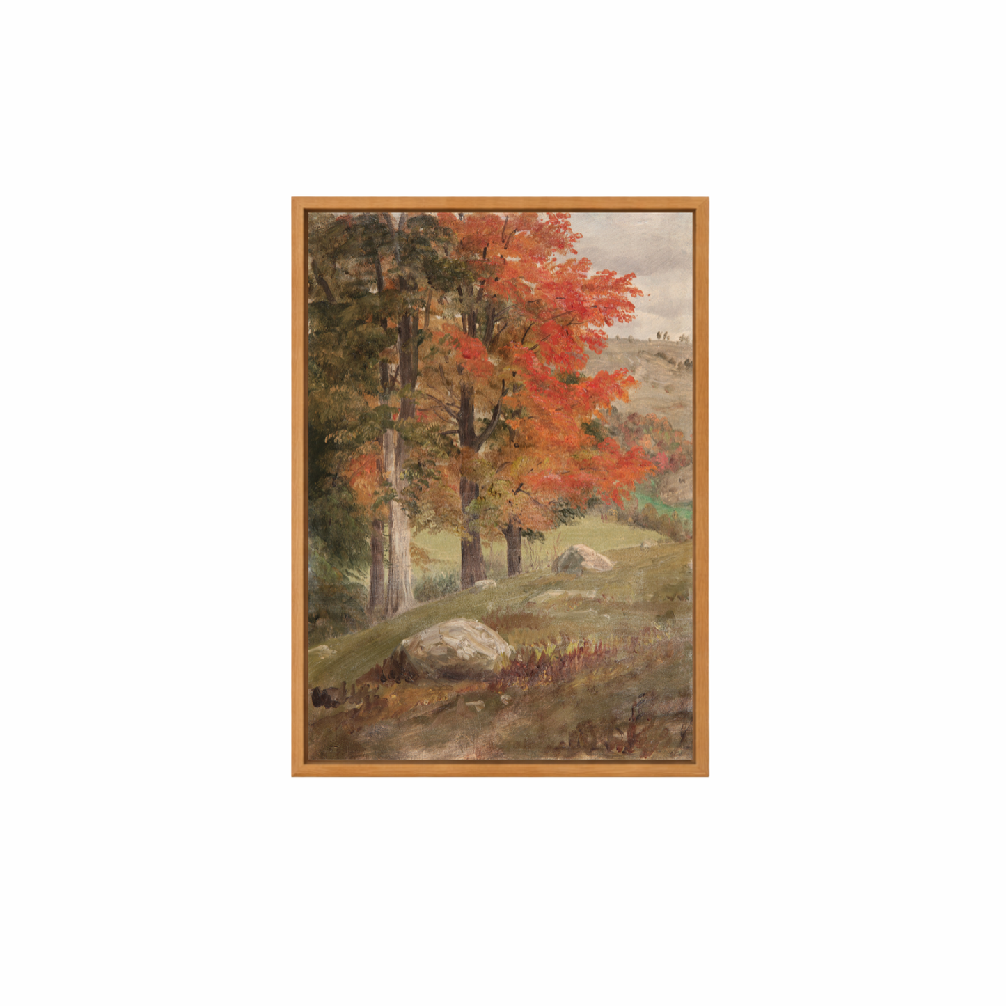 Framed Canvas Print ~ Vintage Autumn Trees