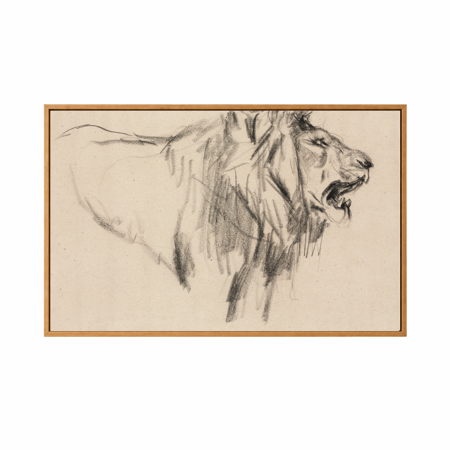 Framed Canvas Print ~ Bhubesi