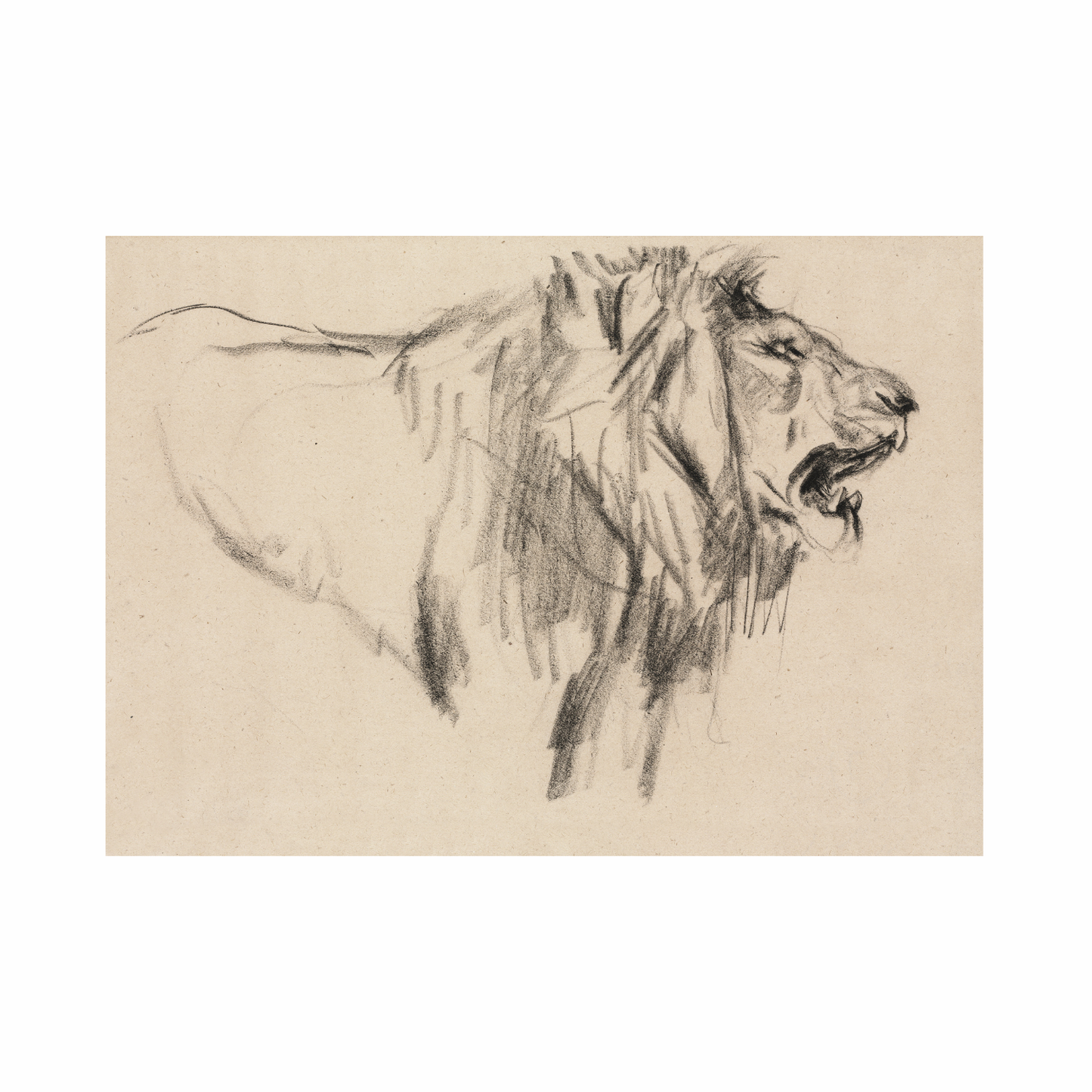 Framed Canvas Print ~ Bhubesi