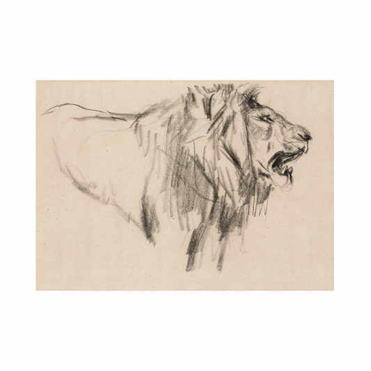 Framed Canvas Print ~ Bhubesi
