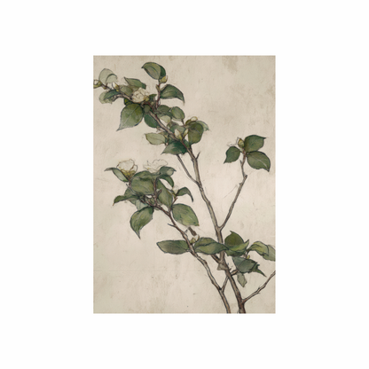 Framed Canvas Print ~ Quiet Bloom