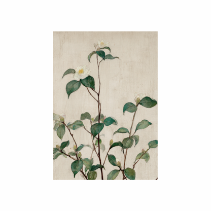 Framed Canvas Print ~ Quiet Bloom