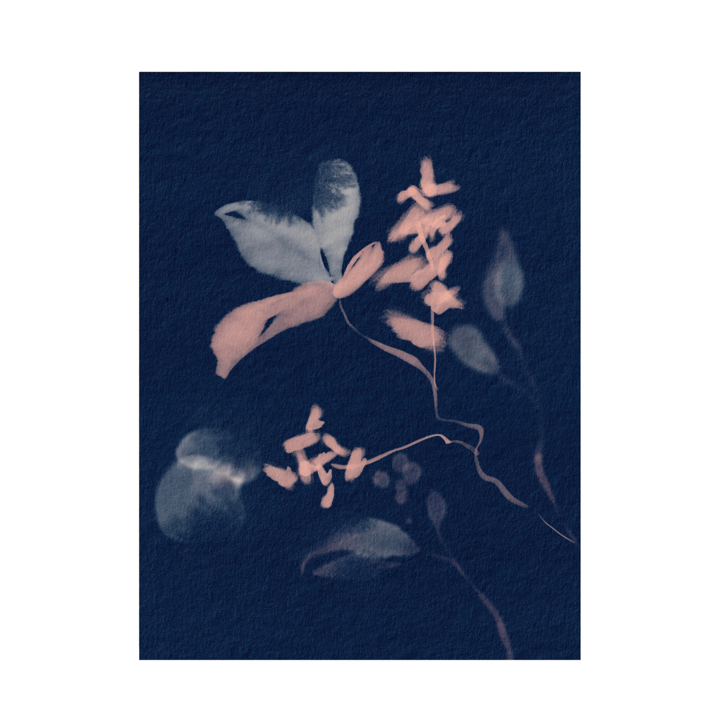 Framed Canvas Print ~ Indigo Sun Print Series