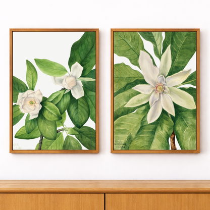 Framed Canvas Print ~ Botanical Reverie Series