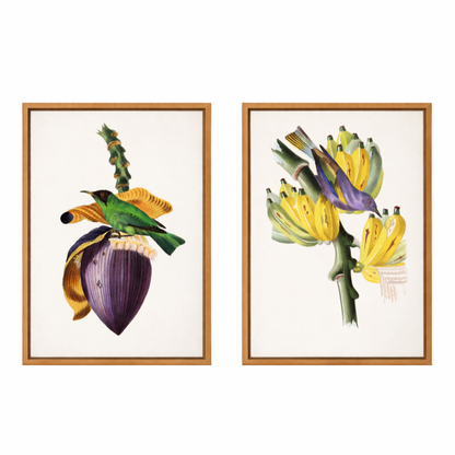 Framed Canvas Wall Art ~ Banana Buddies