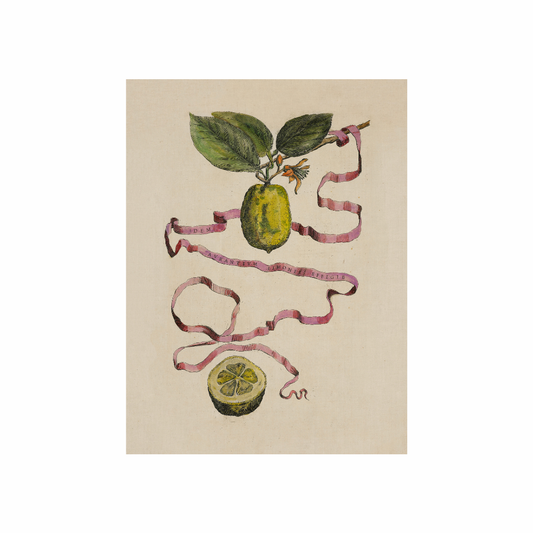 Framed Canvas Print ~ Limoni Lemons