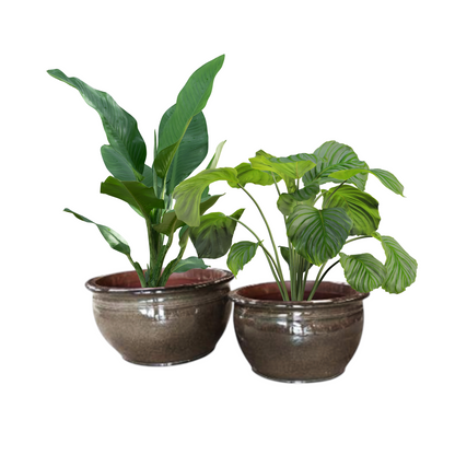 Large Cafe Glazed Planter Sets