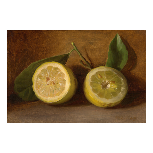 Framed Canvas Print ~ Lemon Still Life