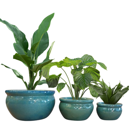 Bulb Glazed Planter Sets