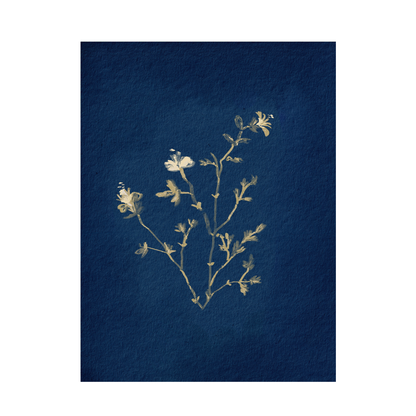 Framed Canvas Print ~ Indigo Sun Print Series