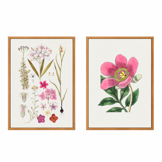Framed Canvas Print ~ Pretty Botanicals