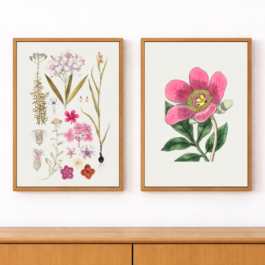 Framed Canvas Print ~ Pretty Botanicals