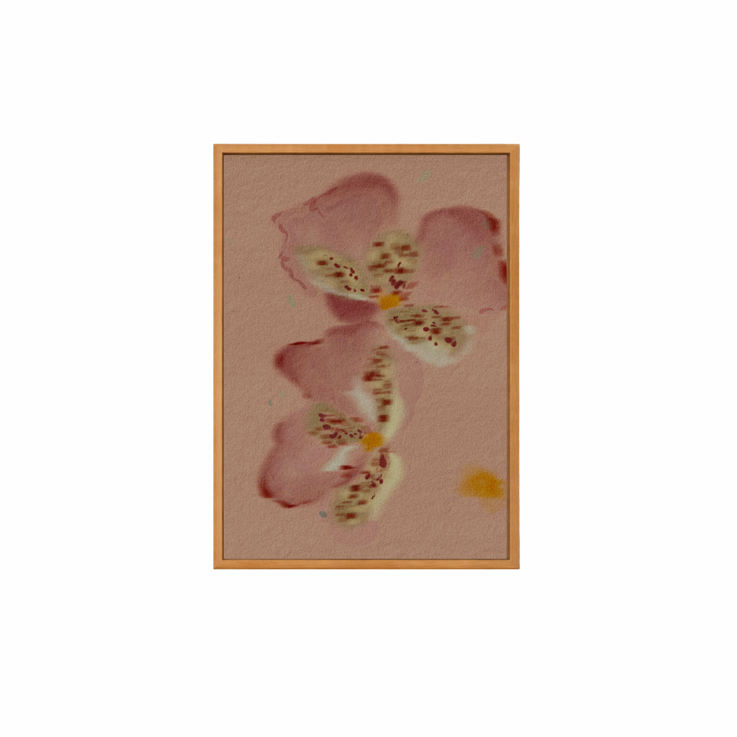 Framed Canvas Print ~ Orchid Series