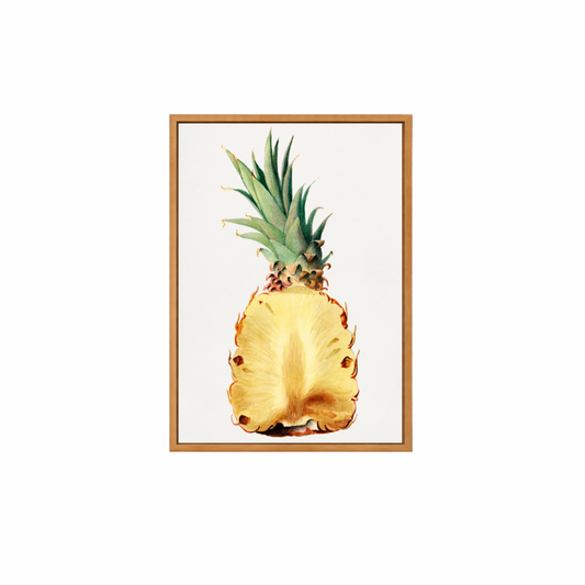 Framed Canvas Print ~ Fresh Pineapple