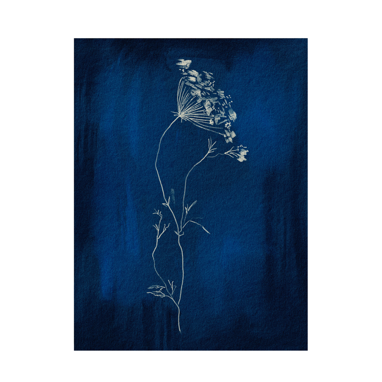 Framed Canvas Print ~ Indigo Sun Print Series
