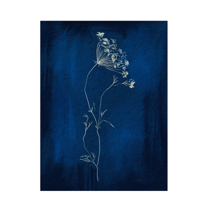 Framed Canvas Print ~ Indigo Sun Print Series