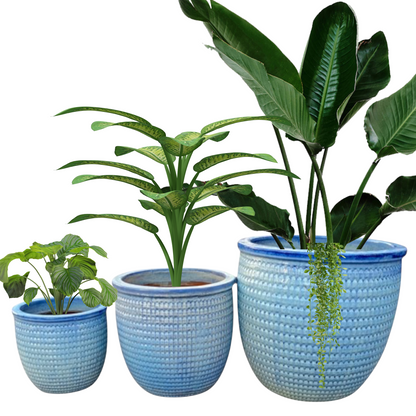 Powder Blue Glazed Planter Sets
