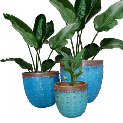 Large Blue Bobble Glazed Planter Sets