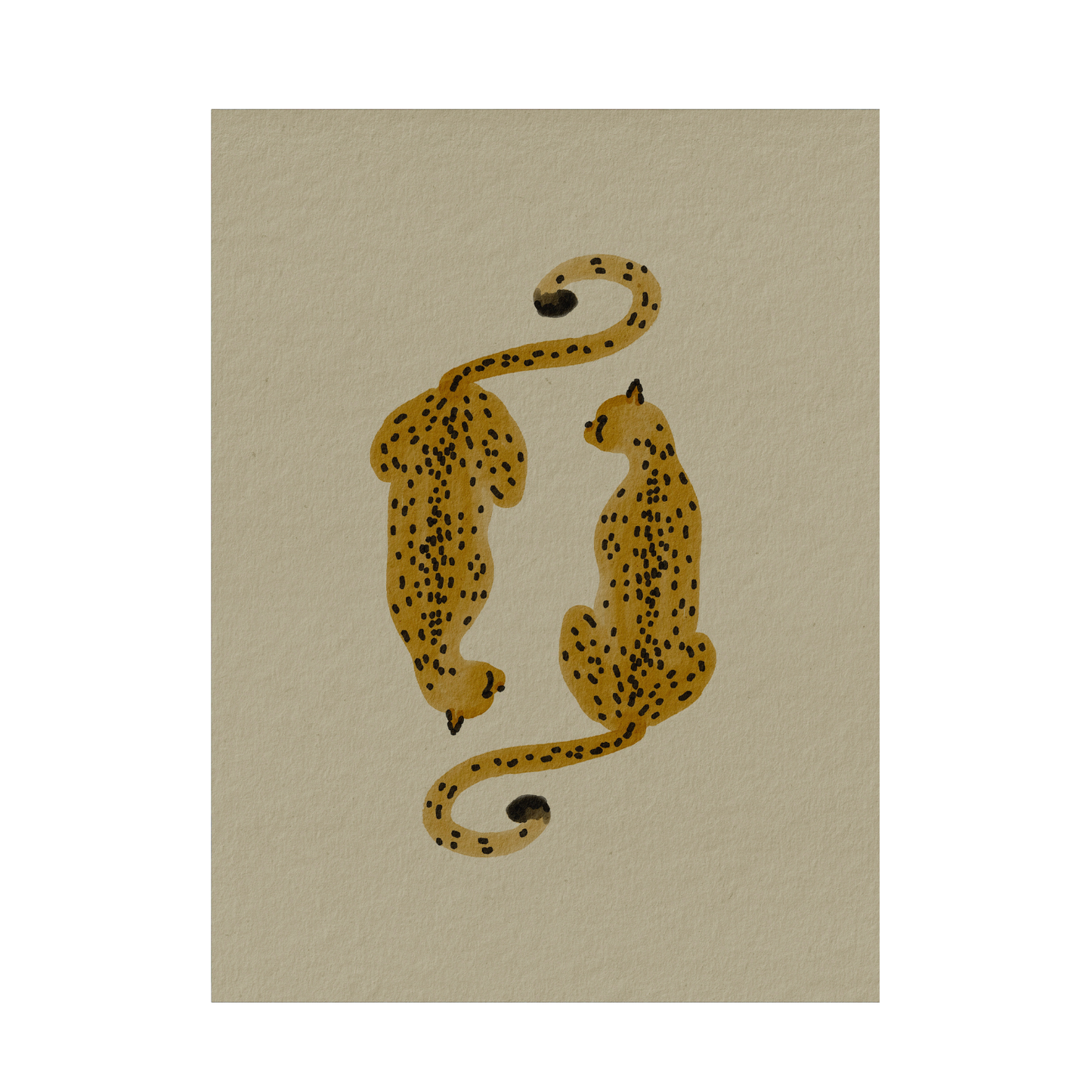 Framed Canvas Print ~ Cheetah Pair Series