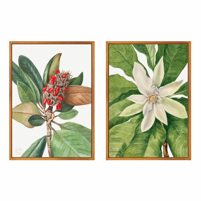 Framed Canvas Print ~ Botanical Reverie Series