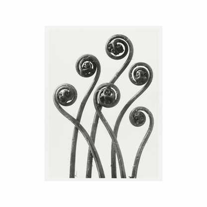 Decorative metal fern sculpture on a white background