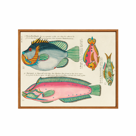 Framed artwork of colorful fish illustrations on a beige background