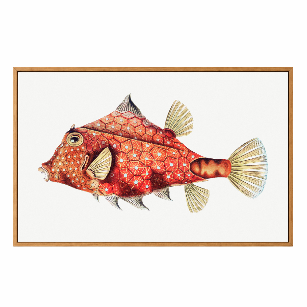 Framed artwork of a red fish with geometric pattern on a white background