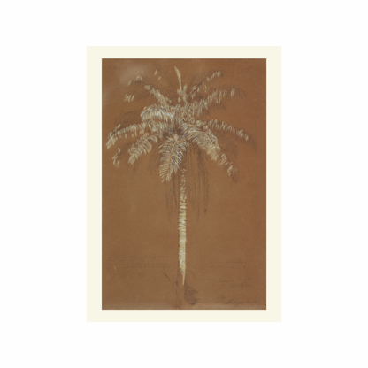 Palm tree illustration on a brown background