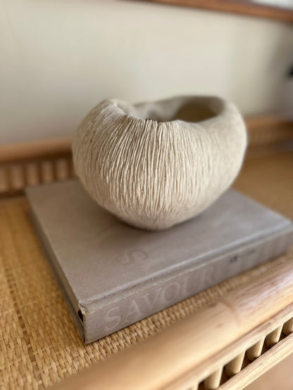 Coral Reef Decor Range