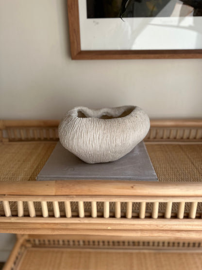 Coral Reef Decor Range