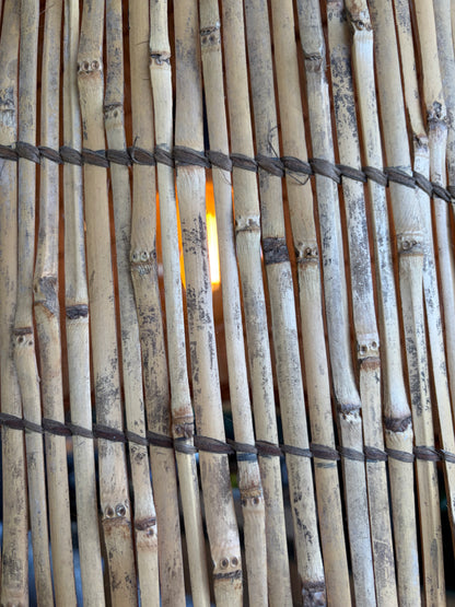 XL Fish Trap Pendant Shade